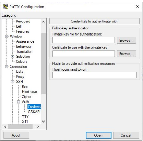 putty4